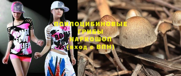 дмт Алексеевка