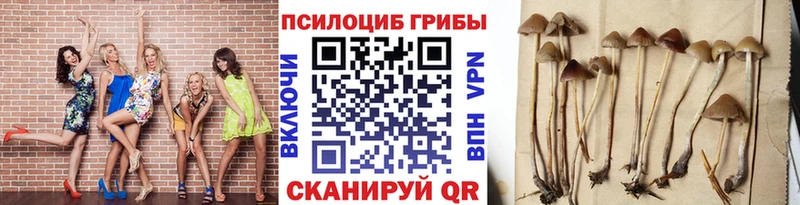 Галлюциногенные грибы Magic Shrooms  блэк спрут ONION  Камбарка  купить закладку 