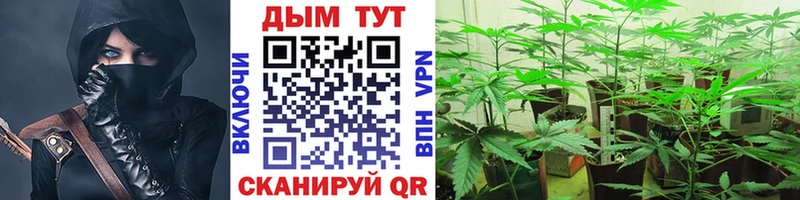 Канабис White Widow  наркотики  Камбарка 